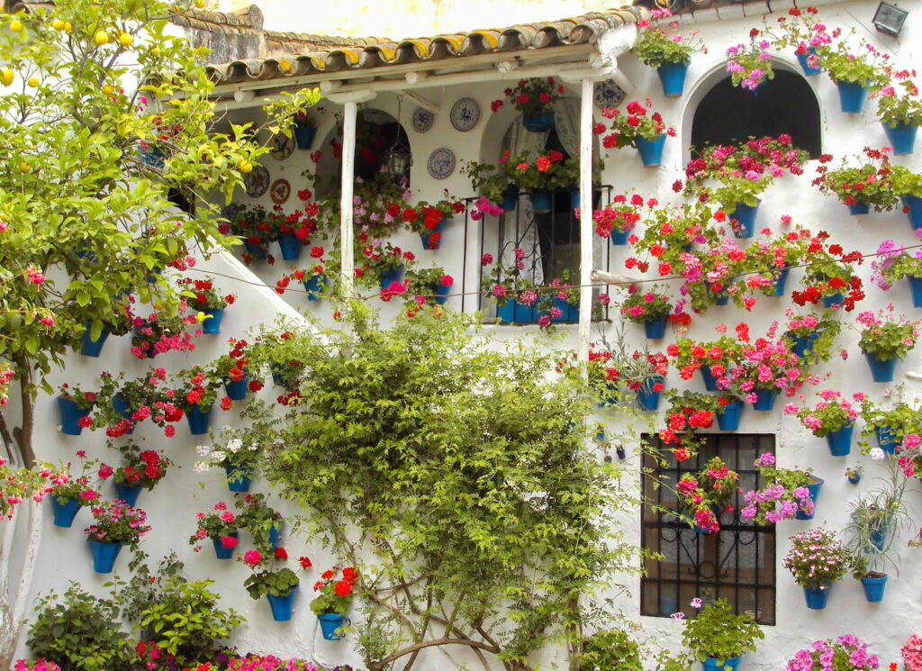 ¿Las plantas se comunican entre sí? 1 las plantas se comunican entre si ¿Las plantas se comunican entre sí?