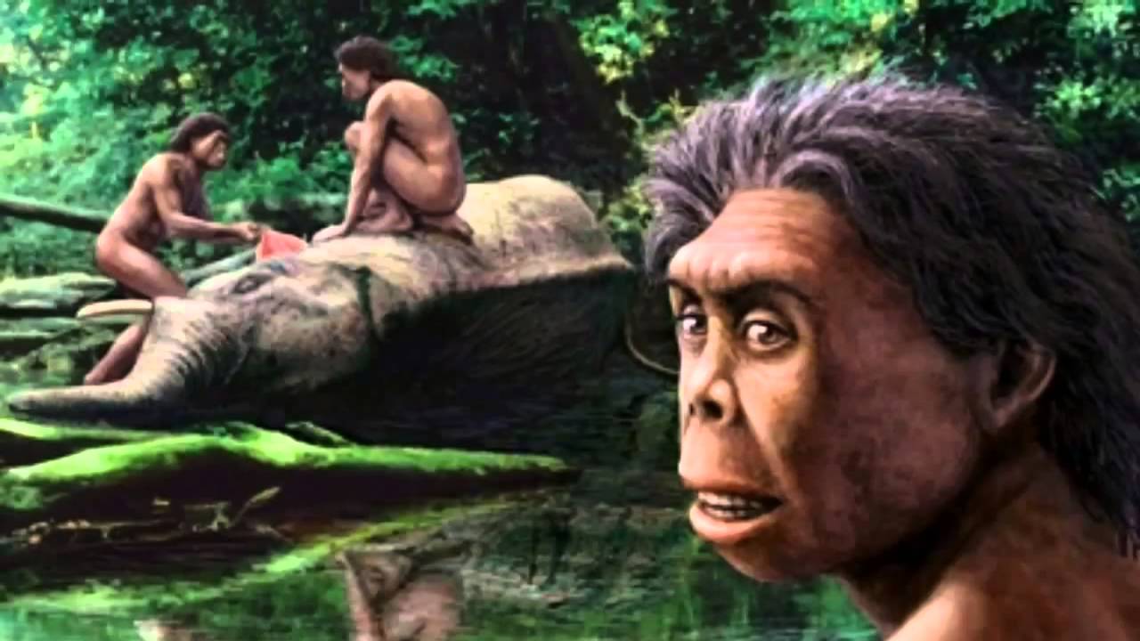 Lo que desapareció junto al Homo floresiensis
