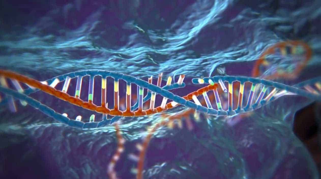 Logran eliminar el VIH utilizando CRISPR