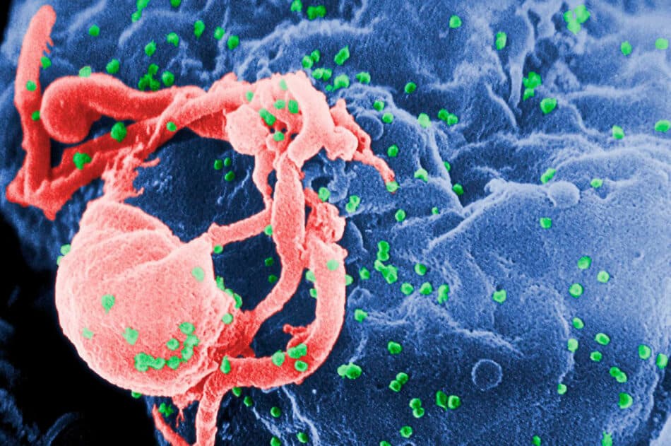 Los ancestros del VIH se originaron, al menos, 60 millones de años atrás