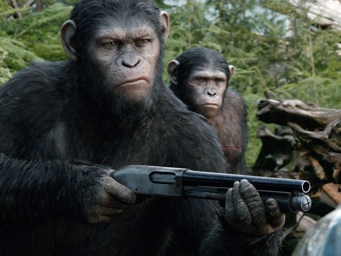 ¿Los chimpancés tienen instinto asesino?