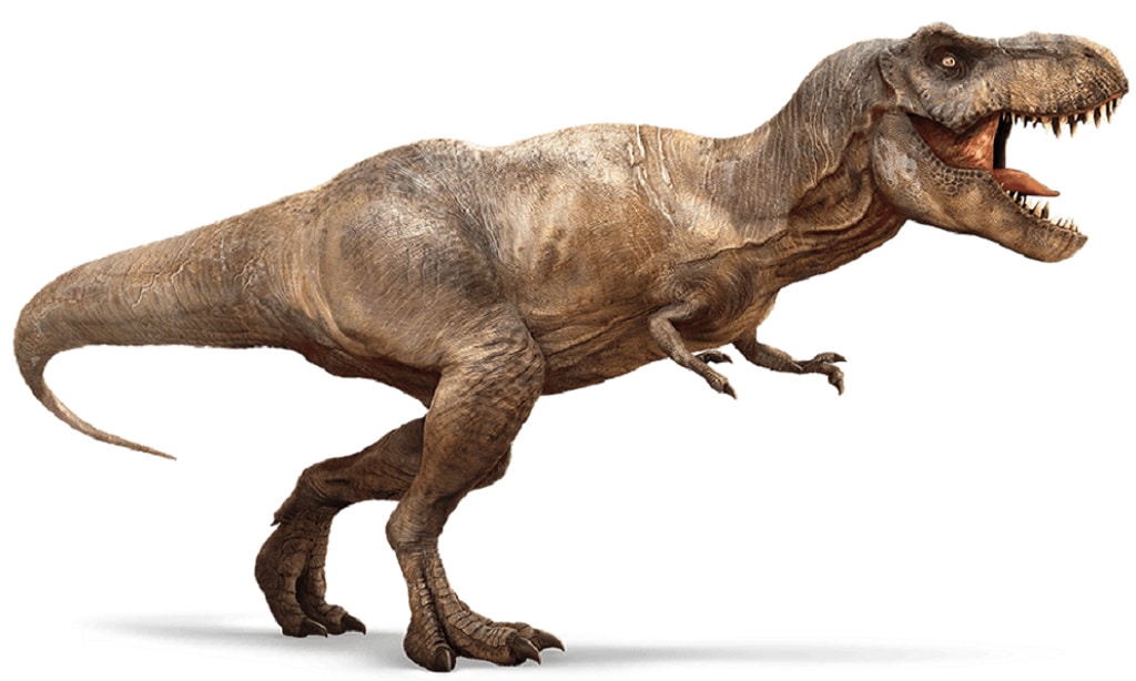 Los dinosaurios carnívoros no competían por las mismas presas