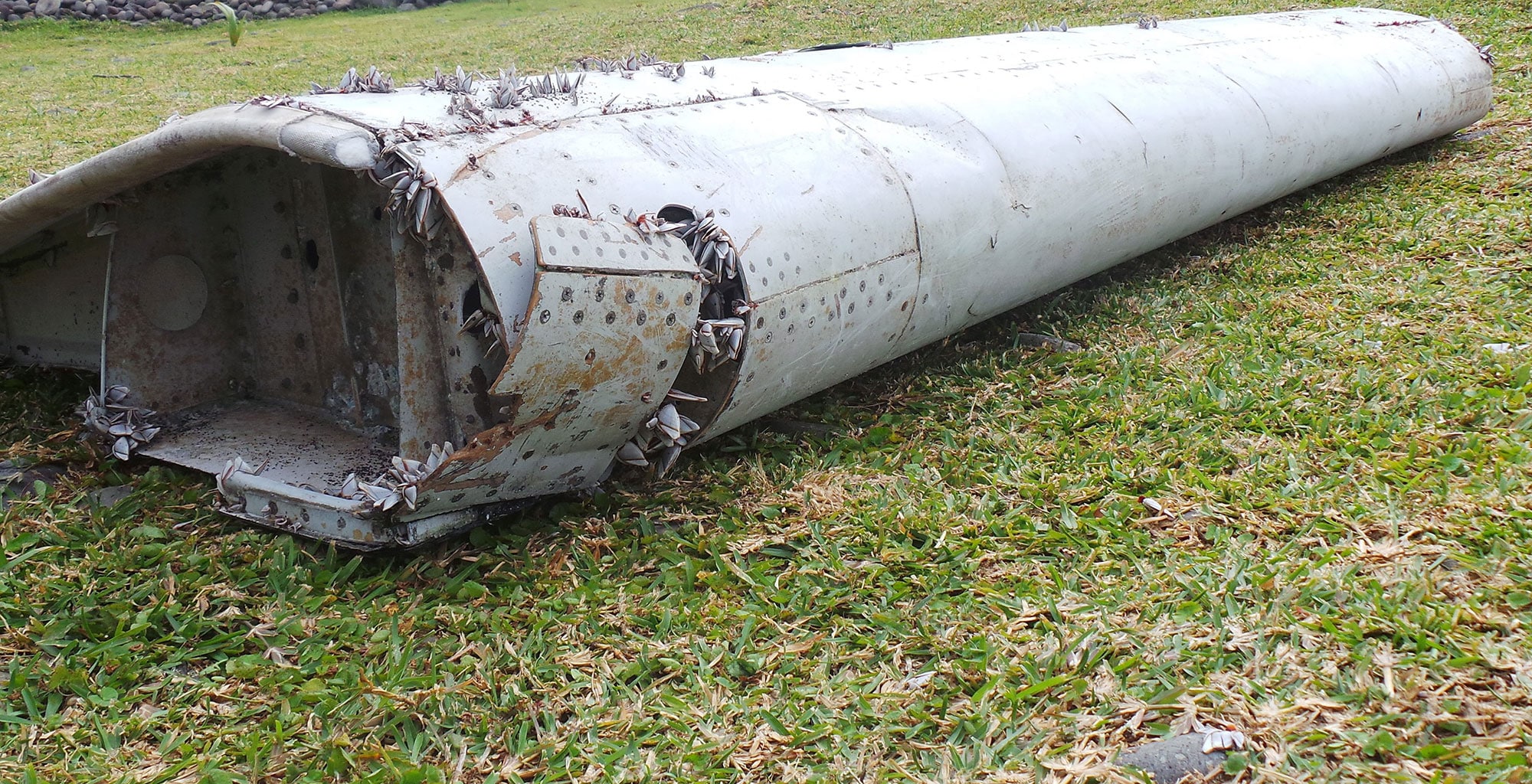 Los percebes añaden más misterio a la desaparición del avión de Malaysia Airlanes