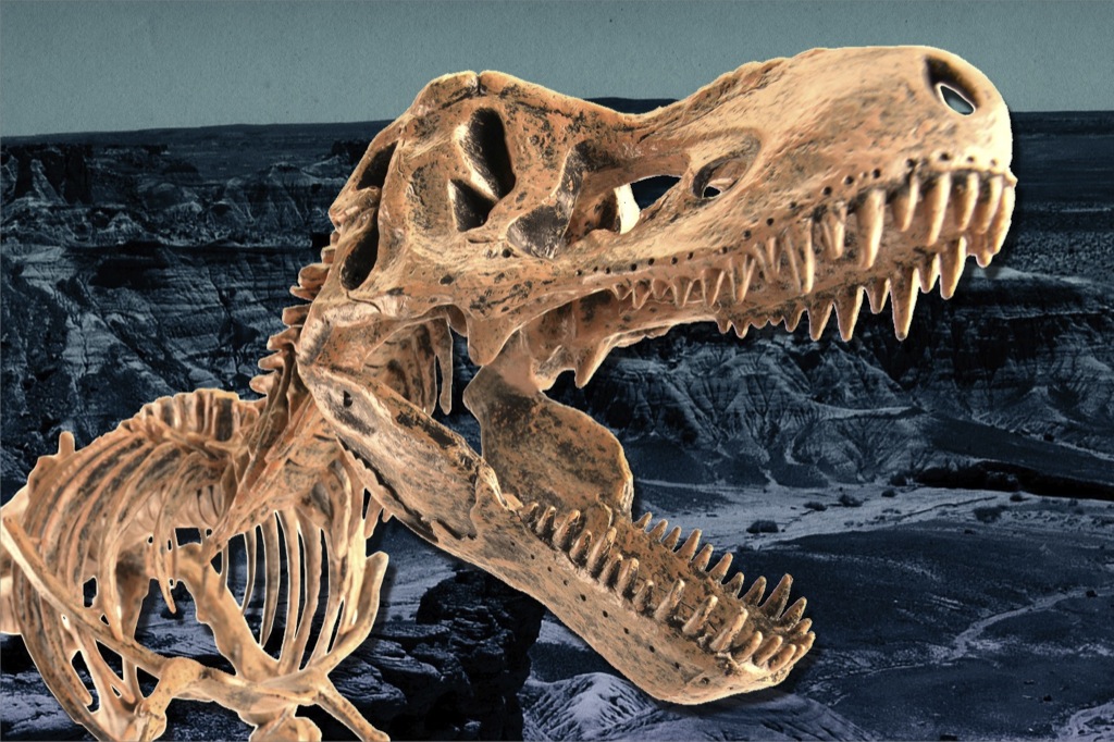 Los primeros dinosaurios de Norteamérica