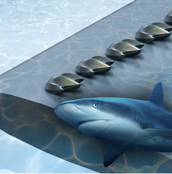 Los tiburones inspiran el diseño de mejores aeronaves