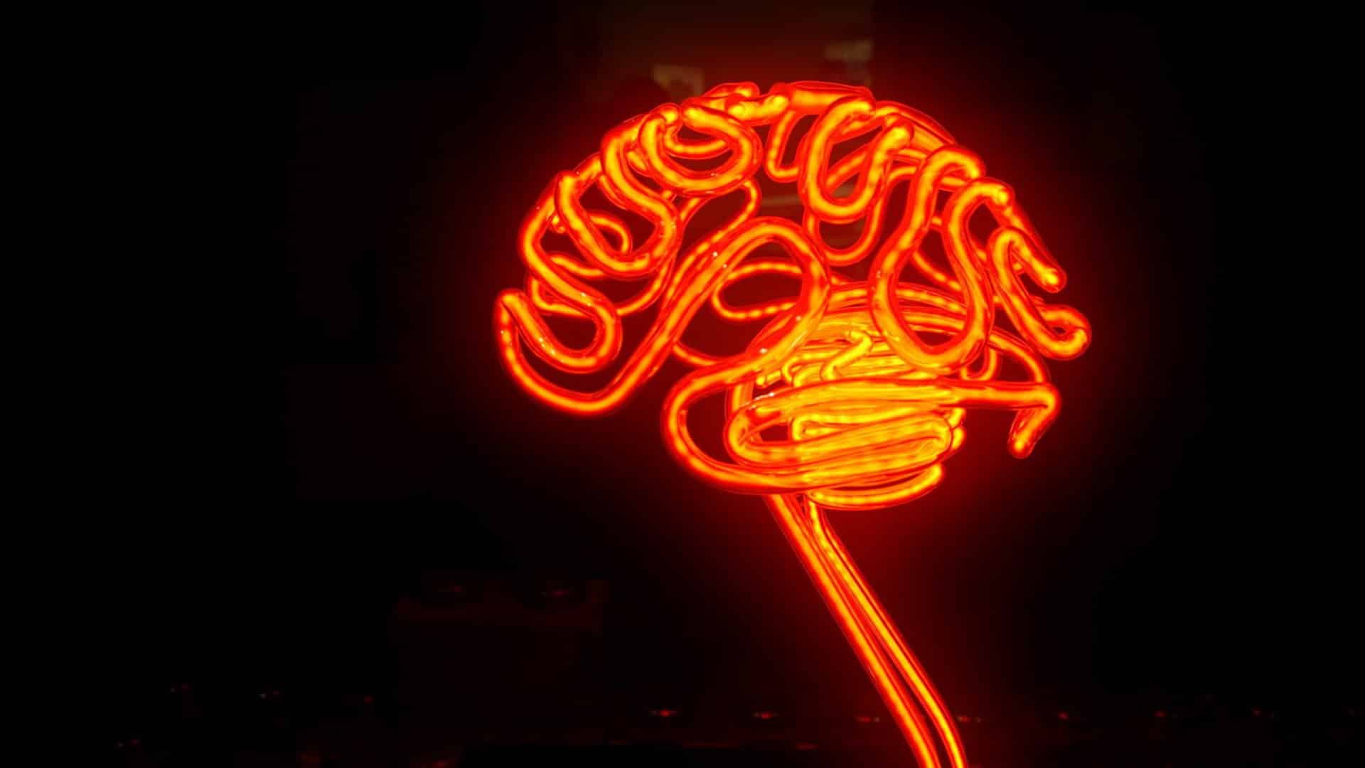 Los ultrasonidos podrían retrasar el envejecimiento del cerebro