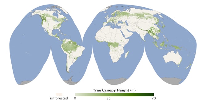 Mapa de los bosques del mundo