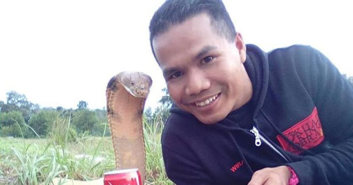 Muere un conocido encantador de serpientes malayo por la mordedura de una cobra