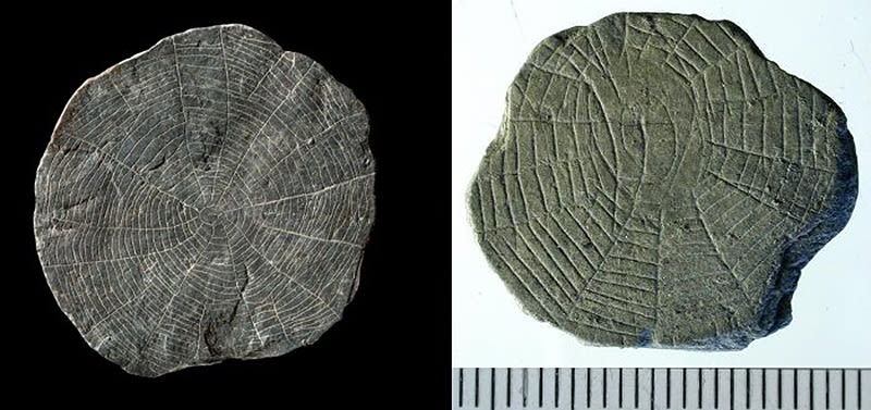Nadie sabe aún para qué servían estos discos de piedra de hace 5.000 años