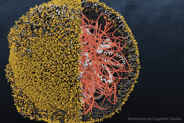 Nanopartículas para destruir células tumorales