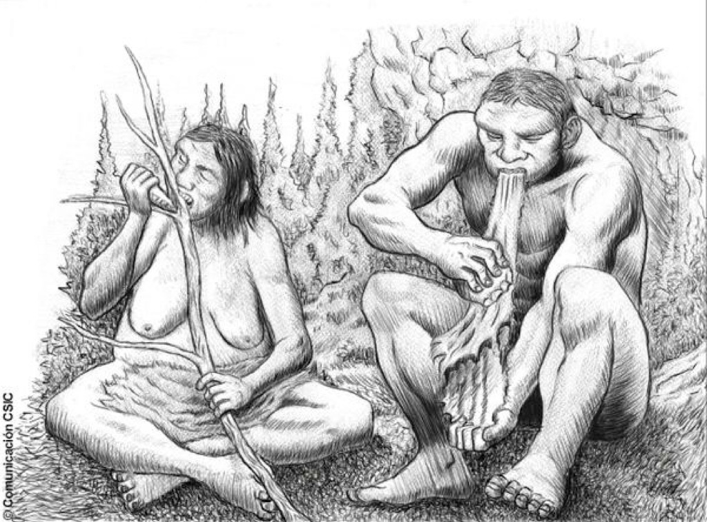 Neandertales: tareas de chicos y tareas de chicas