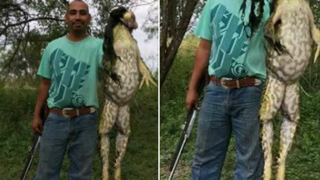 No, esta foto no es un fake. Es otra cosa 1 no esta foto no es un fake. es otra cosa No, esta foto no es un fake. Es otra cosa