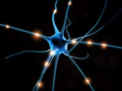 Nueva molécula para regenerar neuronas