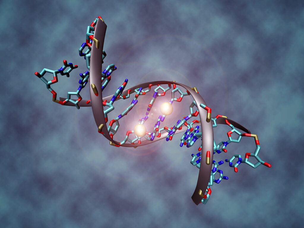 Nueva técnica para identificar rápidamente la función de un gen 1 nueva tecnica para identificar rapidamente la funcion de un gen Nueva técnica para identificar rápidamente la función de un gen