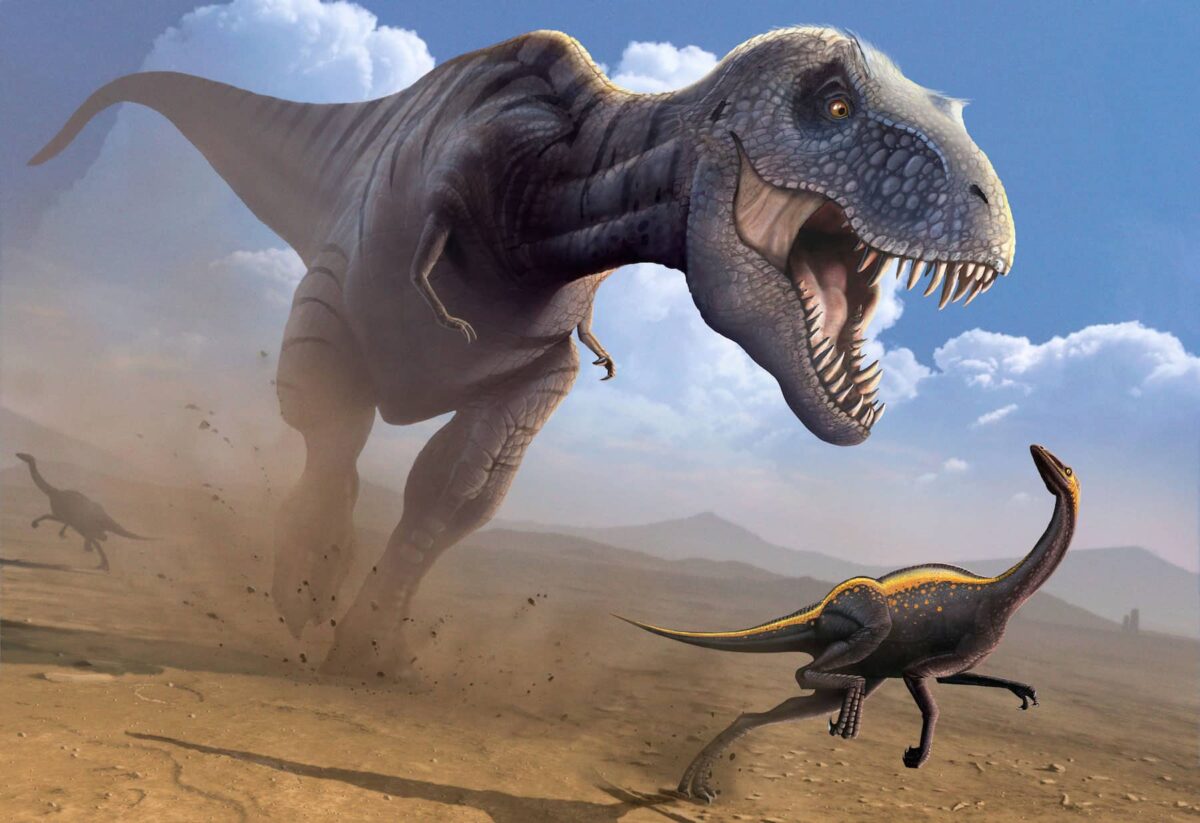 Nuevas pruebas: le ganarías una carrera a un T. rex