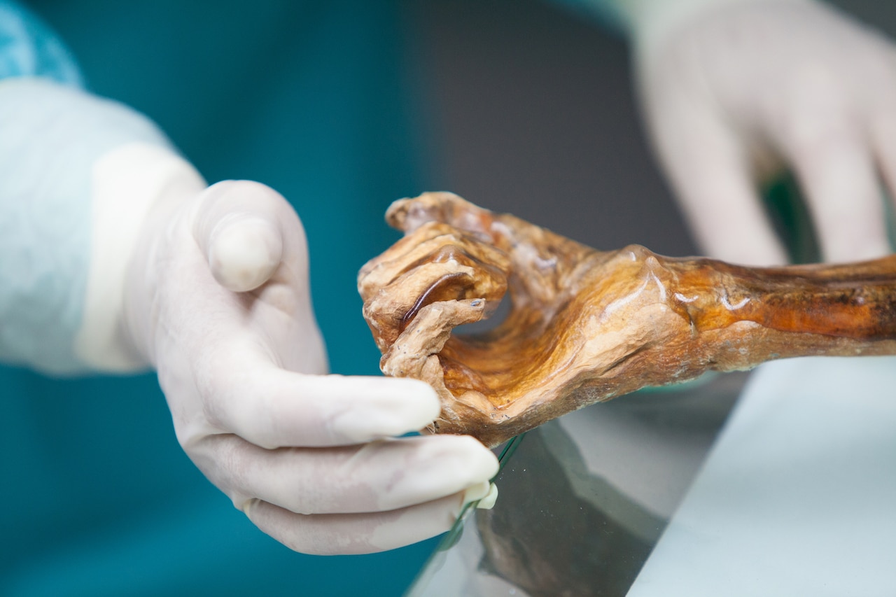 Ötzi, ¿el último de su linaje?