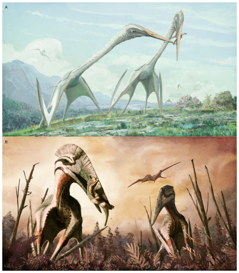 Os presentamos al Pterosaurio gigante