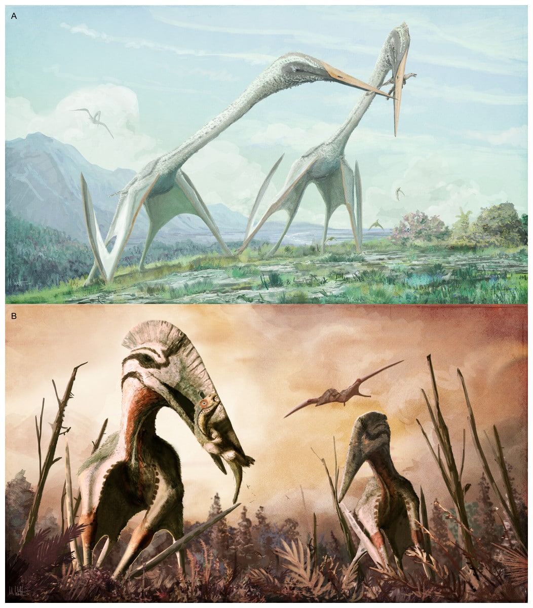 Os presentamos al Pterosaurio gigante