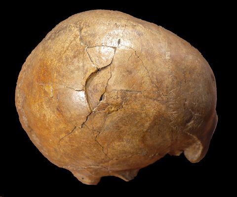 Caso resuelto: así fue asesinado este hombre hace 33.000 años