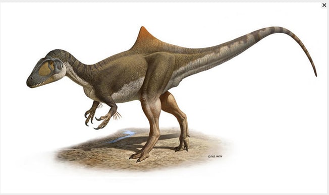 Pepe y otros dinosaurios españoles
