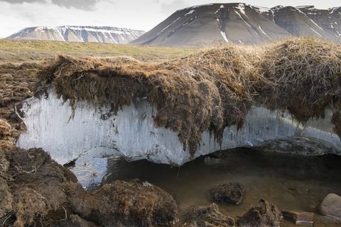 ¿Qué es el permafrost y por qué es tan importante para nuestro planeta?