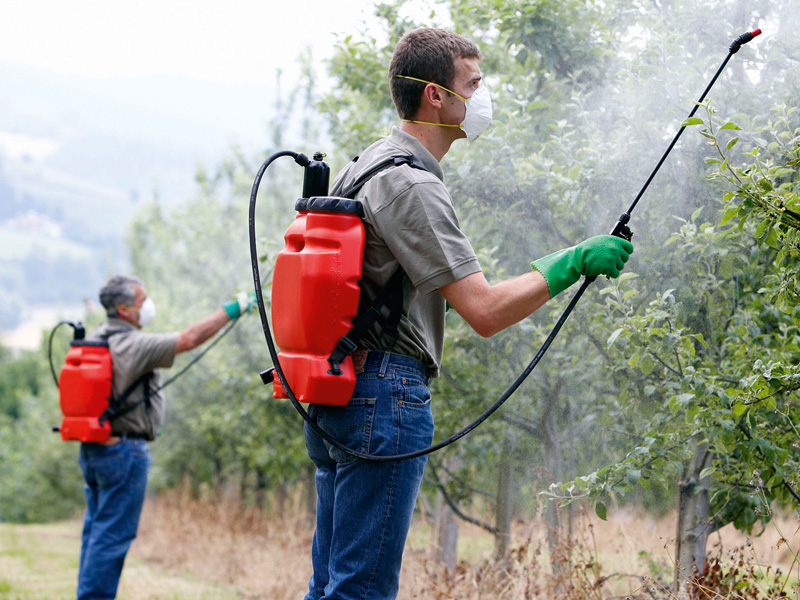 Pesticidas eternos