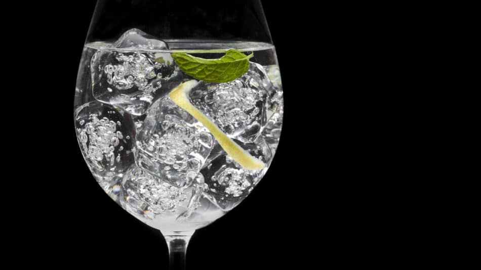 Por qué algunos científicos dicen que no hay que echarle limón al Gin Tonic