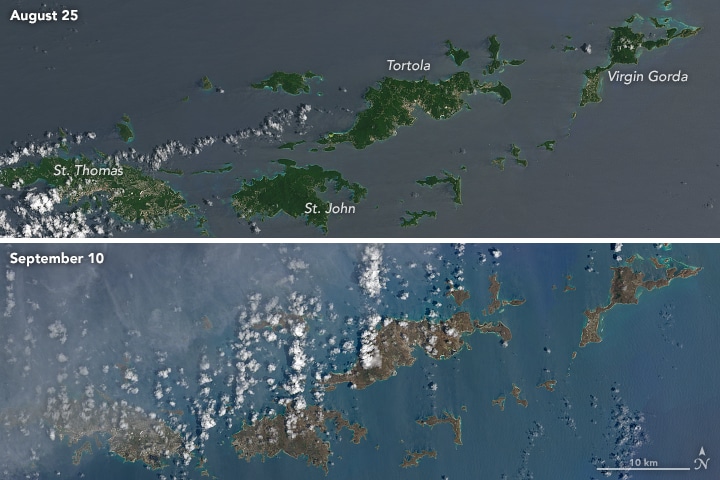 ¿Por qué el huracán Irma ha teñido de marrón las islas del Caribe?