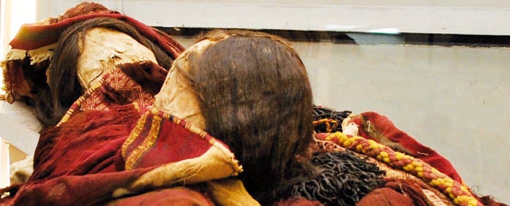 ¿Por qué estas momias incas fueron enterradas envueltas en ropas envenenadas?
