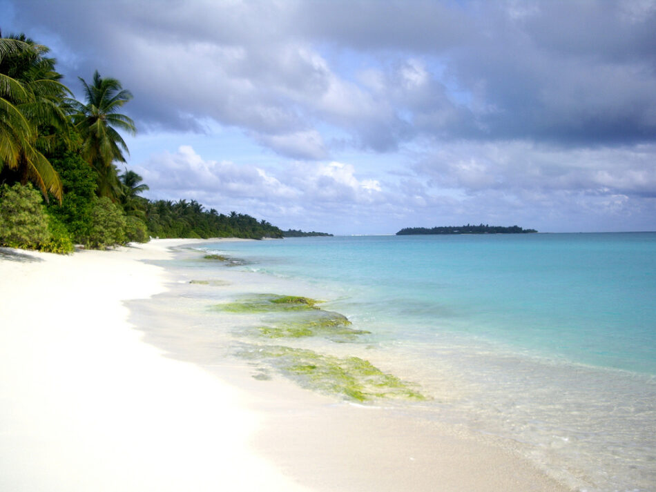 ¿Por qué la arena de las Maldivas es tan blanca?