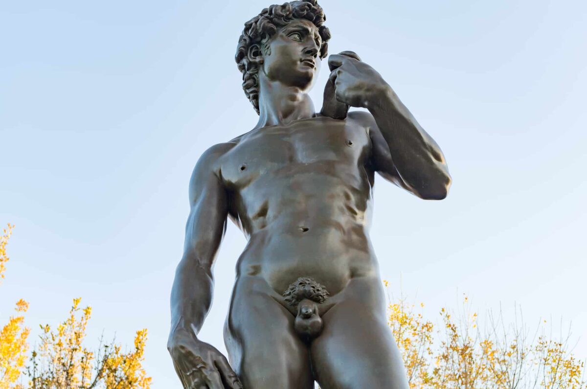 ¿Por qué las esbeltas esculturas clásicas la tienen pequeña?