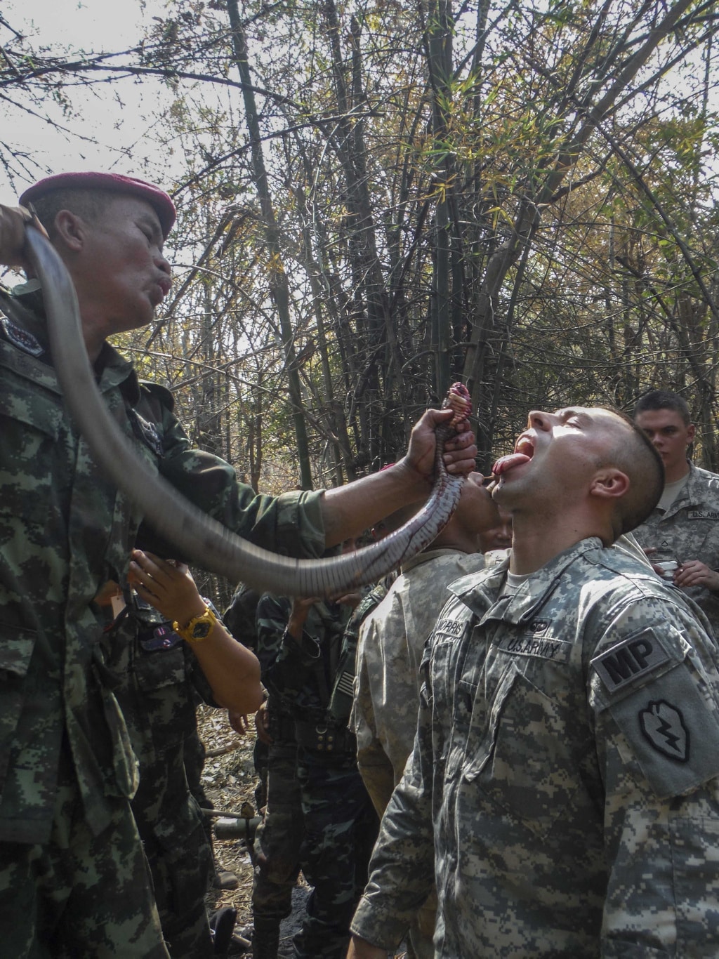 ¿Por qué los marines tienen que beber sangre de cobra en Tailandia?