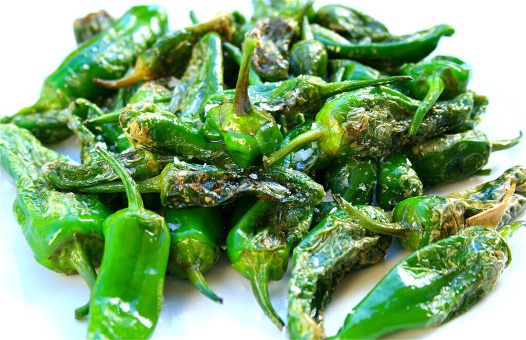 ¿Por qué los pimientos de padrón unos pican “e outros non”? 1 por que los pimientos de padron unos pican e outros non ¿Por qué los pimientos de padrón unos pican “e outros non”?