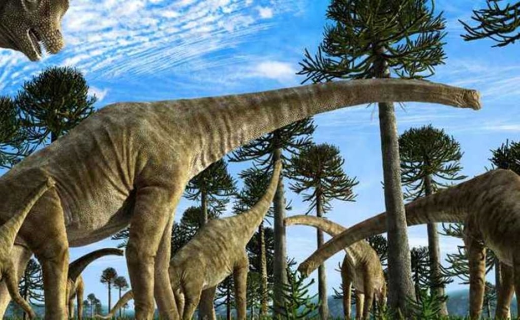 ¿Por qué los últimos titanosaurios ponían huevos deformes?