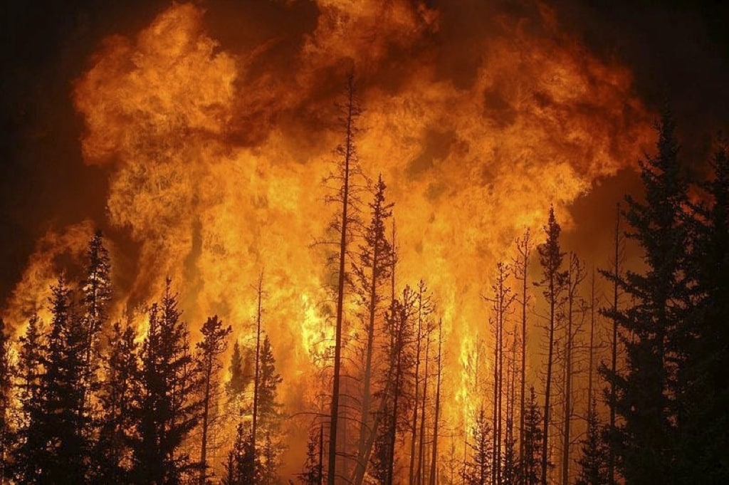 Los pirocúmulos, nubes de fuego que avivan los incendios forestales