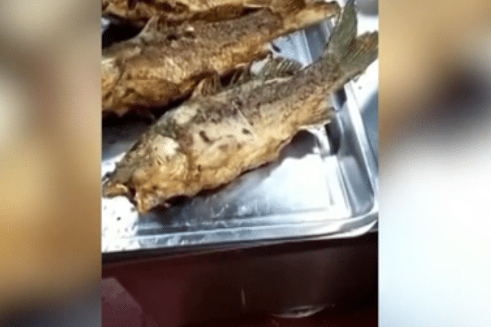 ¿Por qué se mueve este pescado frito?