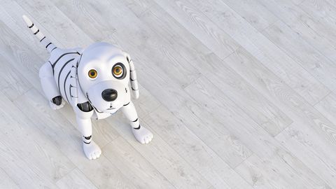 Crea tu propio perro robot