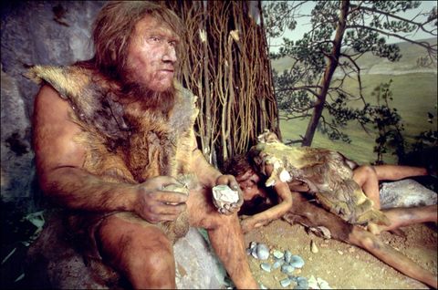 ¿Los neandertales practicaron canibalismo?