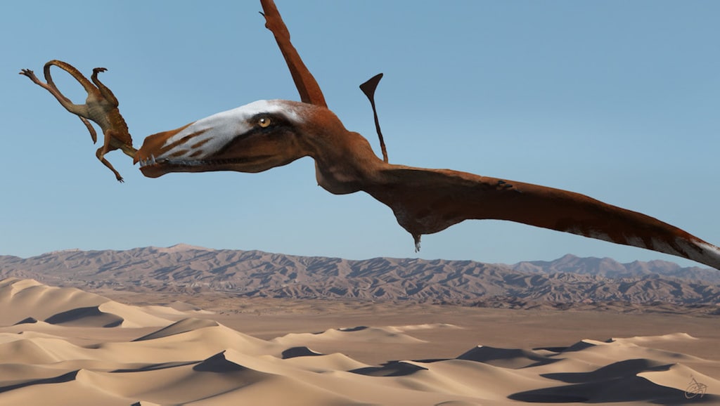 Presentan una nueva bestia prehistórica: un pterosaurio gigante