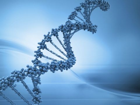 ¿Puede el ADN sintético sustituir al ADN natural?