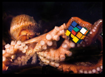 Cubo de Rubik ‘a la gallega’