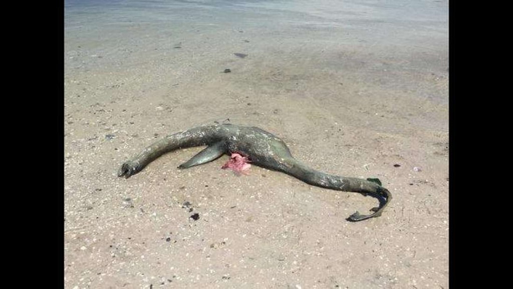 ¿Qué es esta criatura parecida al monstruo del Lago Ness que han encontrado en Georgia?