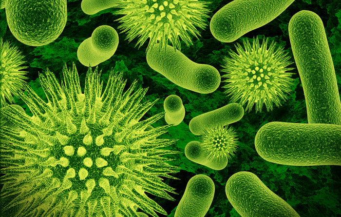 ¿Qué hazañas pueden llevar a cabo las bacterias?