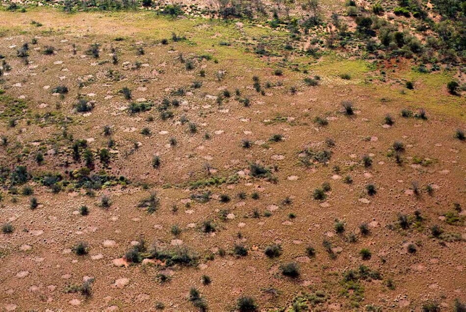 ¿Qué provoca realmente este extraño fenómeno del desierto australiano?