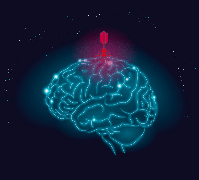 ¿Qué relación hay entre virus en el cerebro y Alzheimer?