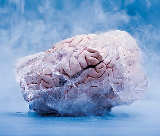 ¿Qué sucedería realmente si el cerebro se enfriara?