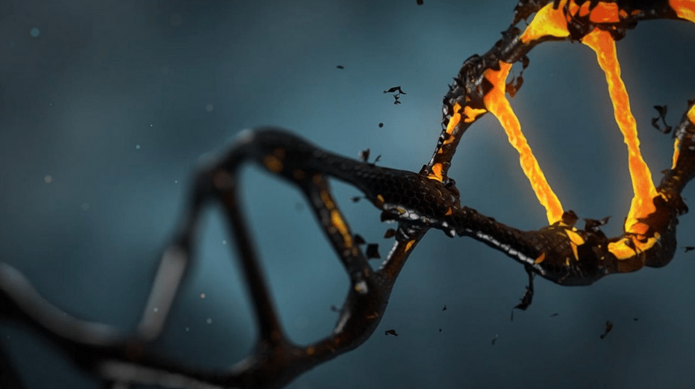 Reconstruyen el ADN de un hombre…sin su cuerpo ni muestras de tejido