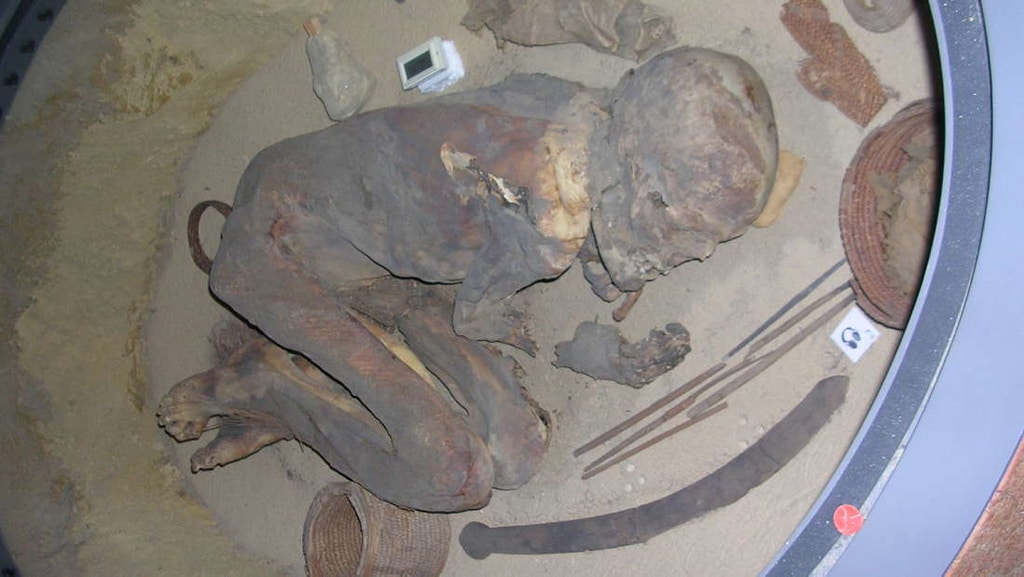 Resuelven el misterio de la momia del Museo de Turín