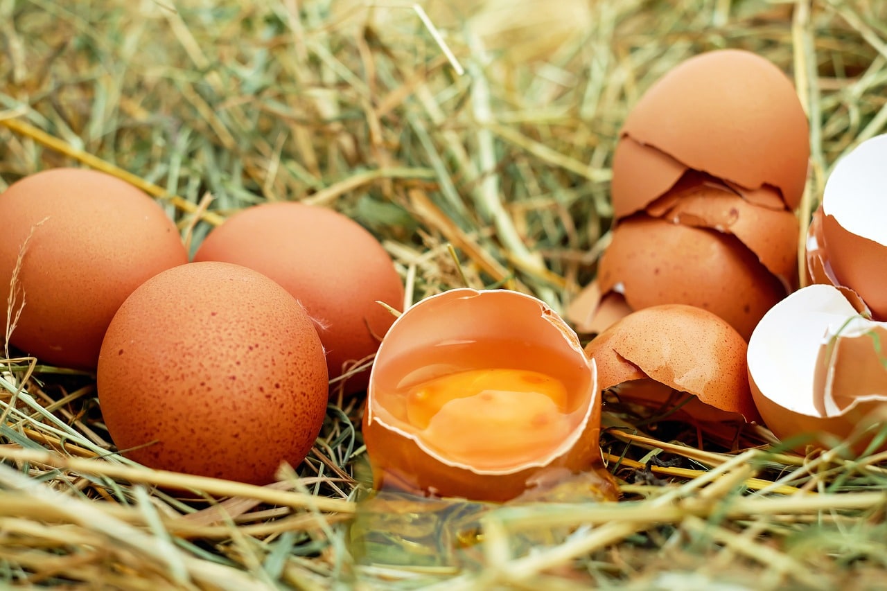 Retiran millones de huevos por estar contaminados con insecticida