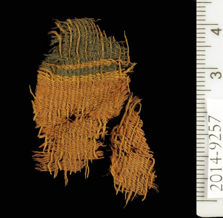 Revelan uno de los tejidos teñidos más antiguos conocidos